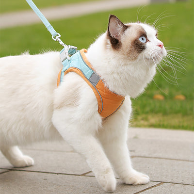 Correa Transpirable de Tracción para Gatos - Cómoda y Segura - Image 2