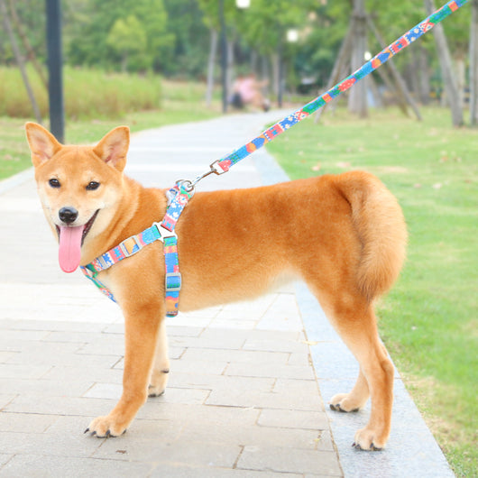 Arnés Deportivo para Perros con Correa de Tracción Ajustable - Image 10