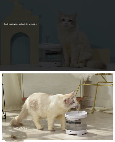 Dispensador Automático de Agua Circulante para Gatos y Perros con Filtro Inteligente - Image 7