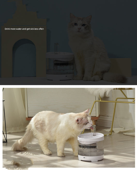 Dispensador Automático de Agua Circulante para Gatos y Perros con Filtro Inteligente - Image 7