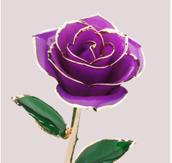 Rosa Dorada 24K - Flor Enchantress con Baño de Oro Premium - Image 4