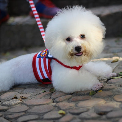 Arnés de Pecho VIP para Mascotas - Image 3