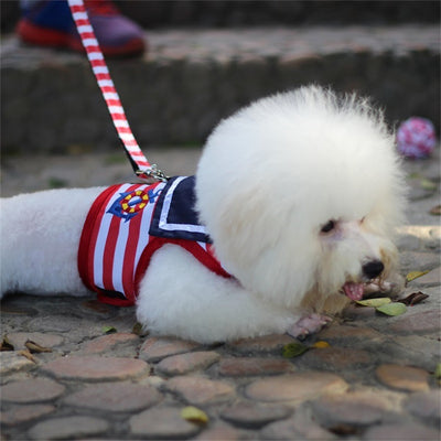 Arnés de Pecho VIP para Mascotas - Image 6