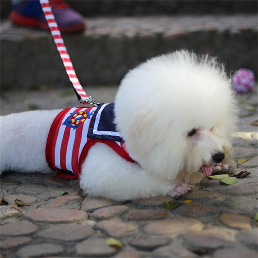 Arnés de Pecho VIP para Mascotas - Image 6