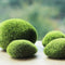 Musgo Artificial Decorativo para Paisajes en Miniatura y Jardines