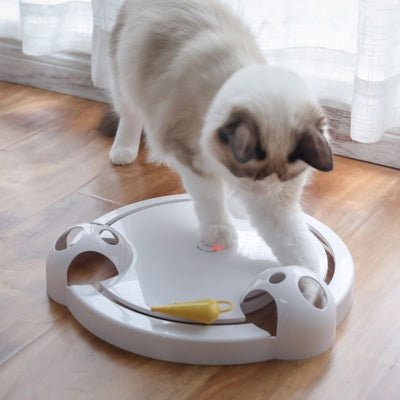 Disco Giratorio Inteligente para Mascotas con Rotación Automática - Image 10