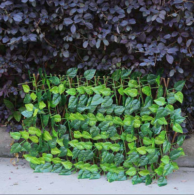 Enrejado Extensible para Plantas con Red Anticorrosiva - Decoración de Jardín y Muro - Image 9