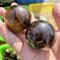 12 16to18mm 1PCS