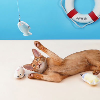 Juguete Interactivo Retráctil para Gatos - Masticable de Molares - Image 12