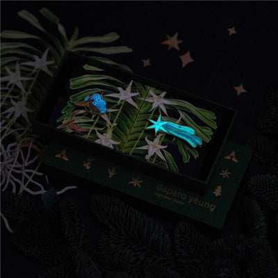 Broche Luminoso Diseño Original El Gran Cometa de Darwin - Image 8