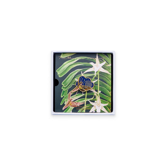 Broche Luminoso Diseño Original El Gran Cometa de Darwin - Image 2