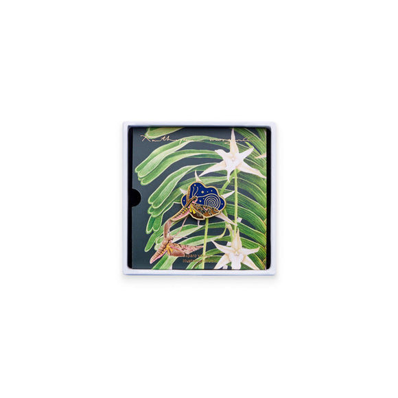 Broche Luminoso Diseño Original El Gran Cometa de Darwin