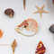 Broche Paleontologia Design Original - Joia de Museu Marinha Ideal para o Dia dos Namorados