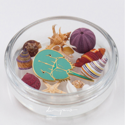 Broche Paleontología Diseño Original - Joya Museo Marina Ideal para San Valentín - Image 12
