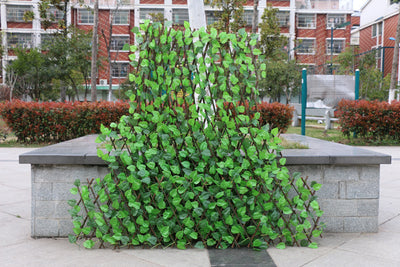 Cerca Decorativa de Madera Extensible para Jardín - Image 4