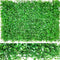 Light Peanut Leaf Lawn