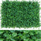 Pequeño Lotus Leaf Lawn