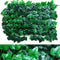 Verde Leaf Lawn