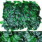 Sweet Potato Leaf Lawn