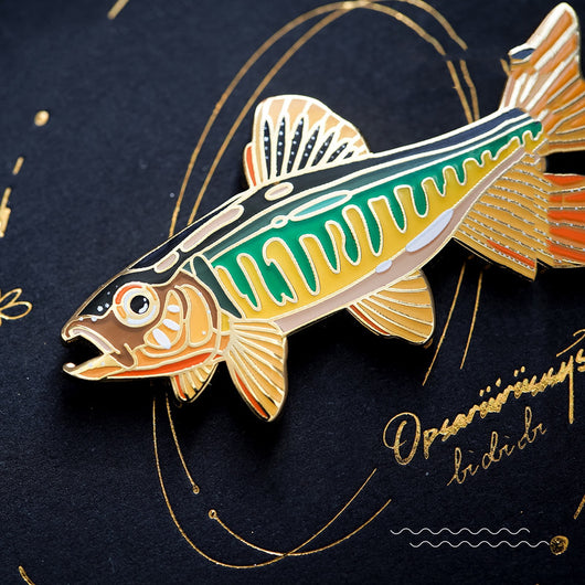 Broche Distintivo de Peces Nativos - Image 10