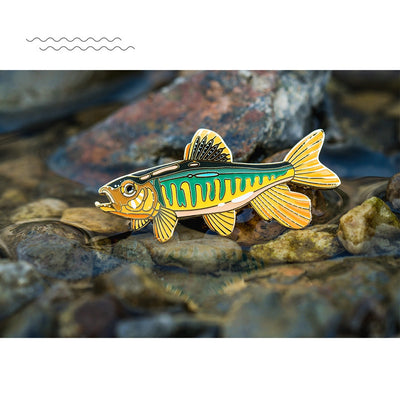 Broche Distintivo de Peces Nativos - Image 4
