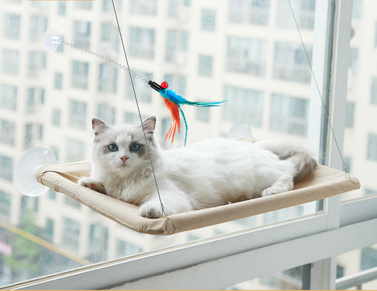 Cama Colgante con Ventosas para Gatos - Hamaca de Verano para Descanso - Image 18