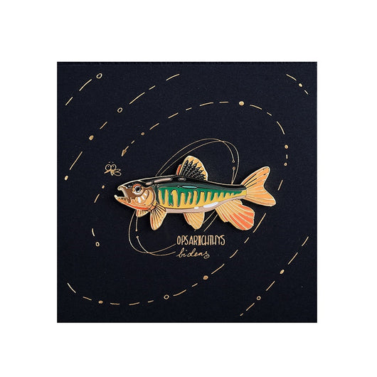 Broche Distintivo de Peces Nativos - Image 6