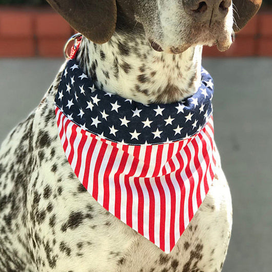 Pañuelo Triangular Bandera Americana para Mascotas