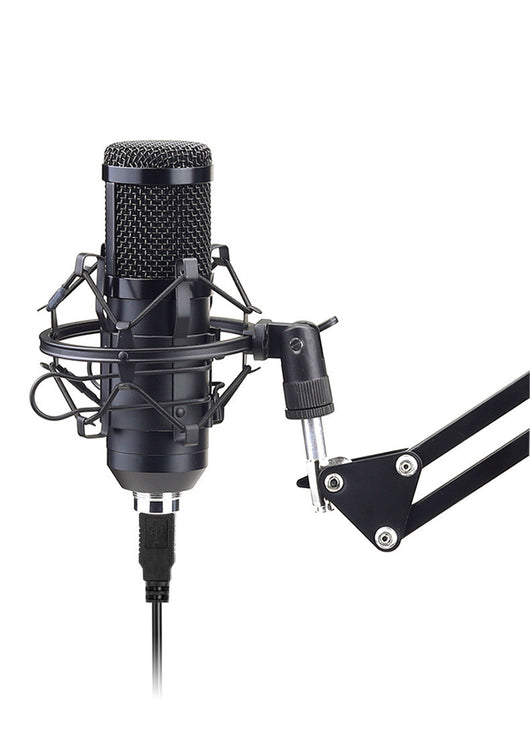 Micrófono Condensador USB BM-800 de Alta Resolución 192KHz 24Bit - Image 10