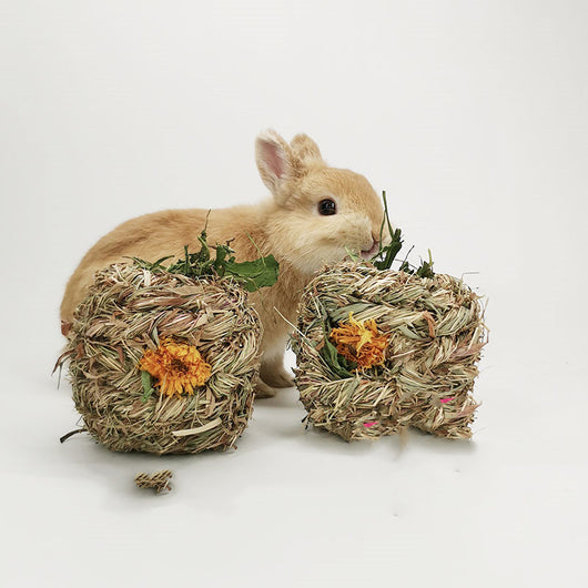 Two natural dandelion grass balls with orange flowers, designed for small pets, next to a cute light brown rabbit. - Image 7