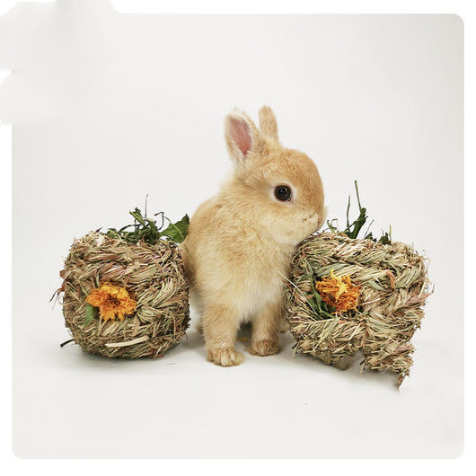 Two natural dandelion grass balls with orange flowers, designed for small pets, next to a cute light brown rabbit. - Image 8
