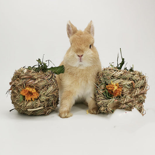 Two natural dandelion grass balls with orange flowers, designed for small pets, next to a cute light brown rabbit. - Image 9