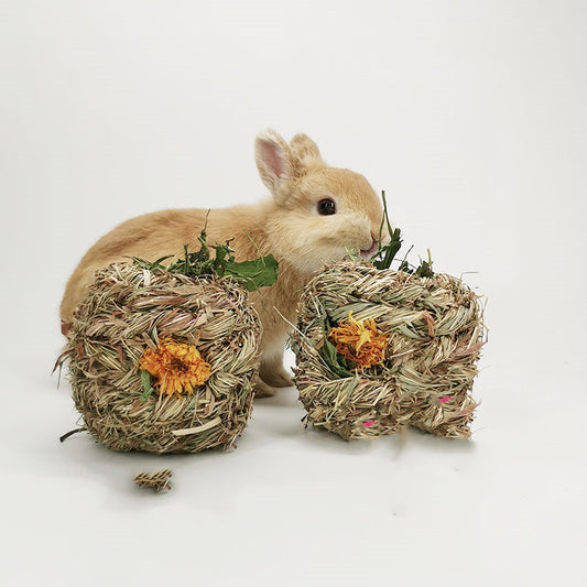 Two natural dandelion grass balls with orange flowers, designed for small pets, next to a cute light brown rabbit. - Image 2