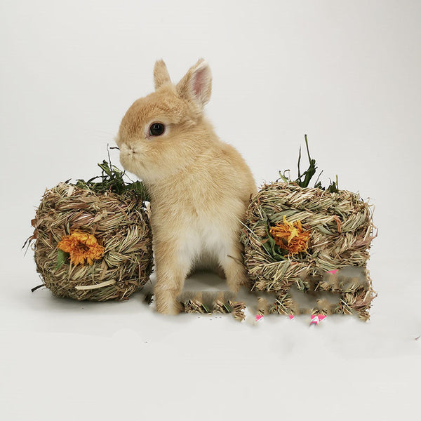 Two natural dandelion grass balls with orange flowers, designed for small pets, next to a cute light brown rabbit.