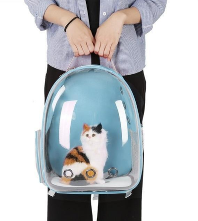 Dark grey transparent pet carrier backpack with a white cat plush toy inside, sitting on a path outdoors. - Image 3