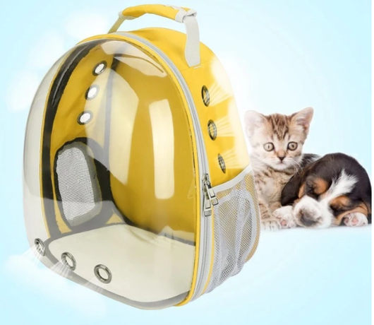 Dark grey transparent pet carrier backpack with a white cat plush toy inside, sitting on a path outdoors. - Image 5