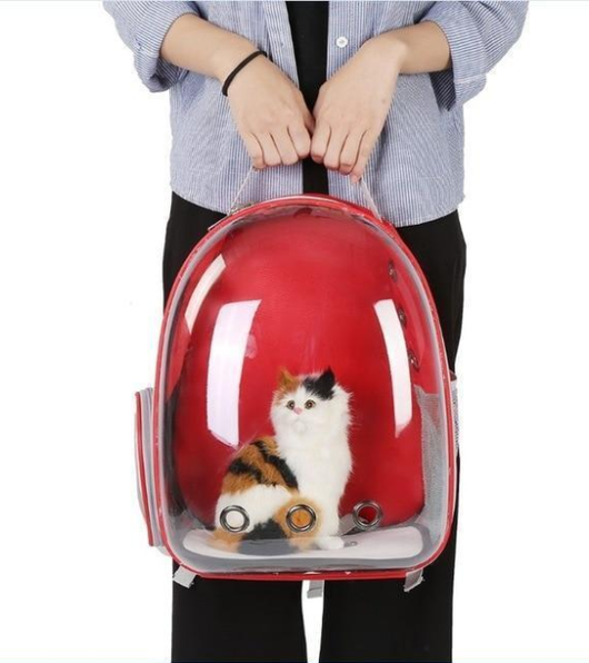 Dark grey transparent pet carrier backpack with a white cat plush toy inside, sitting on a path outdoors. - Image 4