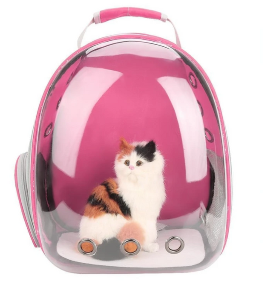 Dark grey transparent pet carrier backpack with a white cat plush toy inside, sitting on a path outdoors. - Image 6