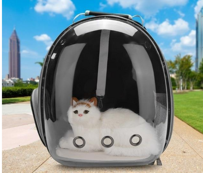 Dark grey transparent pet carrier backpack with a white cat plush toy inside, sitting on a path outdoors. - Image 7