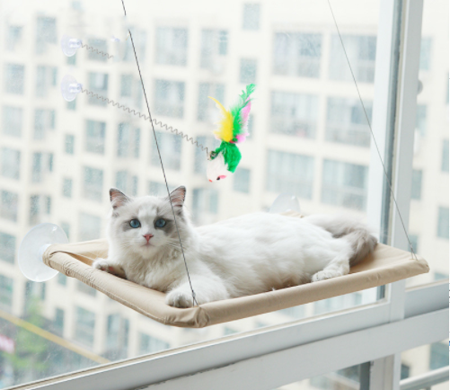Cama Colgante con Ventosas para Gatos - Hamaca de Verano para Descanso
