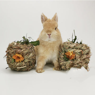 Two natural dandelion grass balls with orange flowers, designed for small pets, next to a cute light brown rabbit. - Image 5