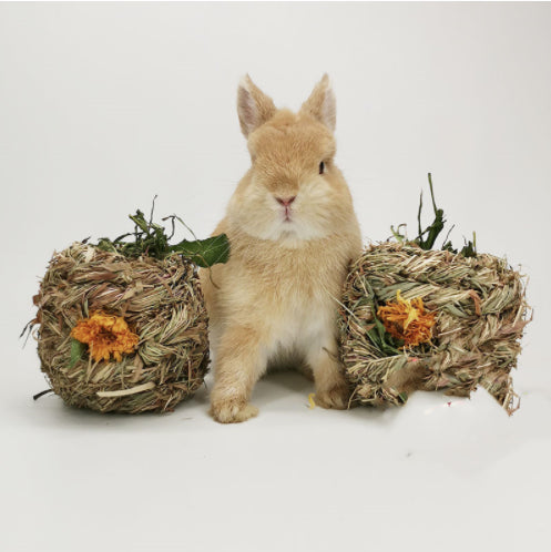 Two natural dandelion grass balls with orange flowers, designed for small pets, next to a cute light brown rabbit. - Image 5