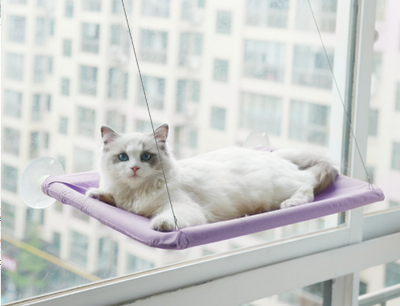 Cama Colgante con Ventosas para Gatos - Hamaca de Verano para Descanso - Image 12