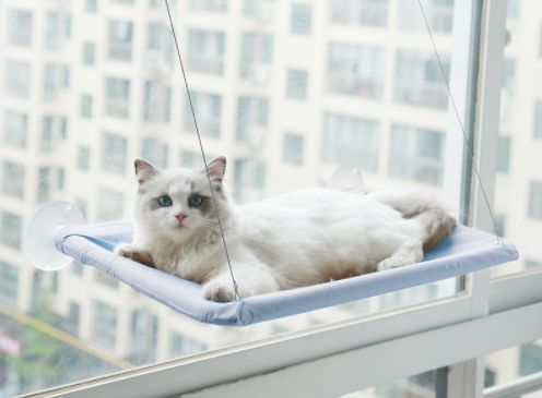 Cama Colgante con Ventosas para Gatos - Hamaca de Verano para Descanso - Image 13
