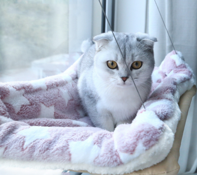Cama Colgante con Ventosas para Gatos - Hamaca de Verano para Descanso - Image 35