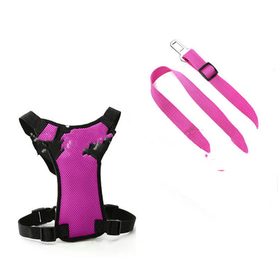 Silla de Oficina Ergonómica con Respaldo de Malla y Cinturones Personalizables - Image 9