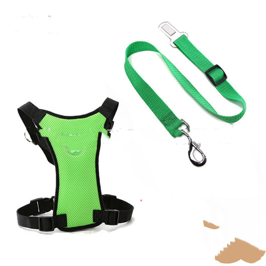 Silla de Oficina Ergonómica con Respaldo de Malla y Cinturones Personalizables - Image 11