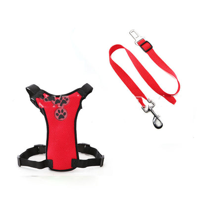 Silla de Oficina Ergonómica con Respaldo de Malla y Cinturones Personalizables - Image 12