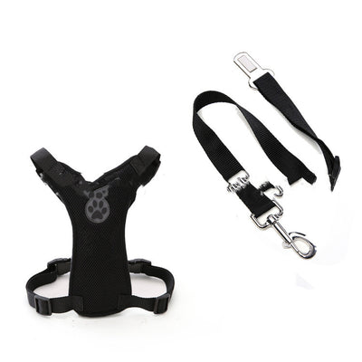 Silla de Oficina Ergonómica con Respaldo de Malla y Cinturones Personalizables - Image 4