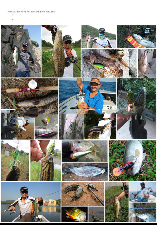 Set de 20 Señuelos de Pesca Variados - 2 Estilos Premium - Image 10